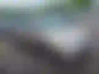 Vehicle Image- 2006 Honda Odyssey