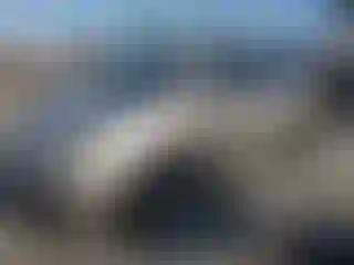 Vehicle Image- 2006 Honda Odyssey