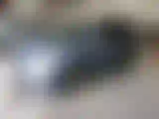 Vehicle Image- 2005 Honda Odyssey