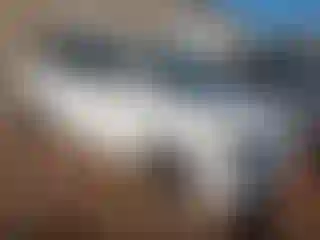 Vehicle Image- 2007 Honda Odyssey