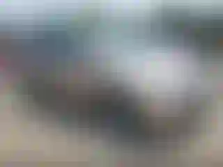 Vehicle Image- 2005 Honda Odyssey