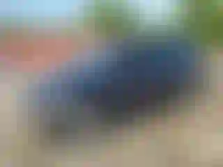 Vehicle Image- 2008 Honda Odyssey