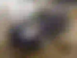 Vehicle Image- 2008 Honda Odyssey
