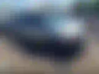 Vehicle Image- 2010 Honda Odyssey