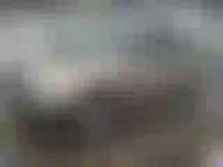 Vehicle Image- 2010 Honda Odyssey