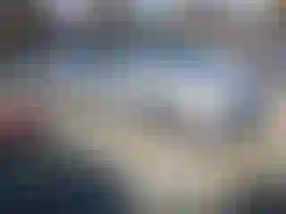 Vehicle Image- 2010 Honda Odyssey