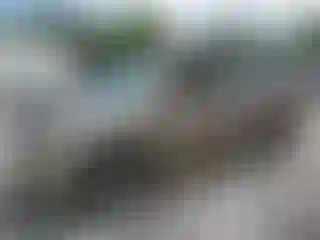 Vehicle Image- 2010 Honda Odyssey