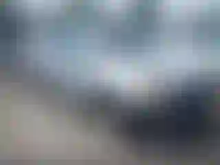 Vehicle Image- 2010 Honda Odyssey