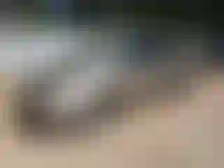 Vehicle Image- 2010 Honda Odyssey