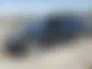 Vehicle Image- 2010 Honda Odyssey