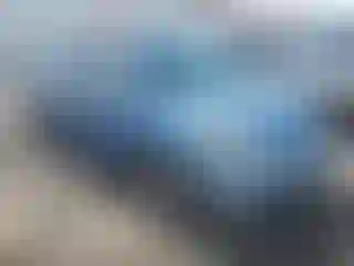 Vehicle Image- 2010 Honda Odyssey