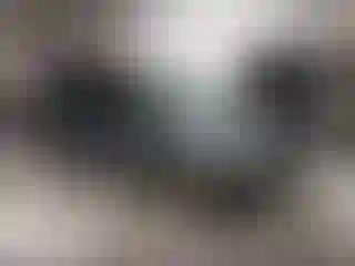 Vehicle Image- 2010 Honda Odyssey