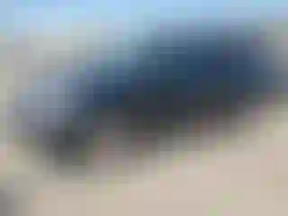 Vehicle Image- 2010 Honda Odyssey
