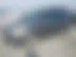 Vehicle Image- 2010 Honda Odyssey