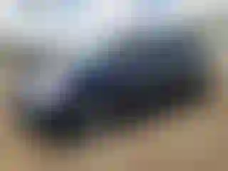 Vehicle Image- 2010 Honda Odyssey