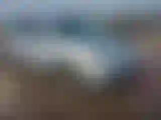 Vehicle Image- 2010 Honda Odyssey