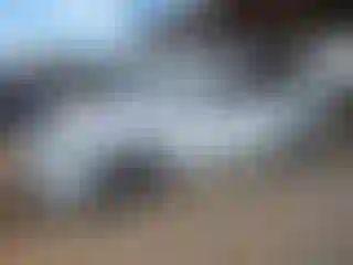 Vehicle Image- 2010 Honda Odyssey