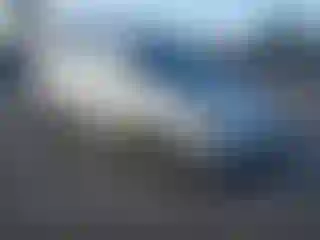 Vehicle Image- 2010 Honda Odyssey