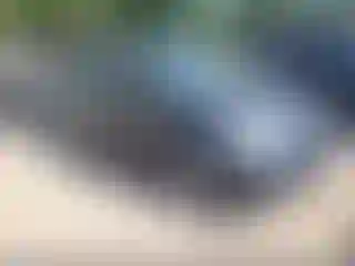 Vehicle Image- 2010 Honda Odyssey