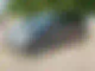 Vehicle Image- 2010 Honda Odyssey