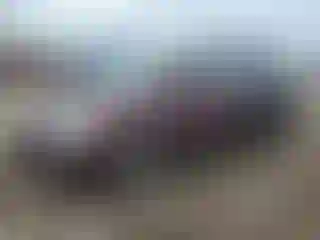 Vehicle Image- 2010 Honda Odyssey