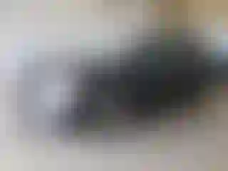 Vehicle Image- 2017 Honda Odyssey