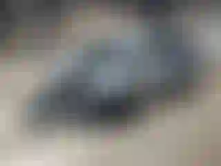 Vehicle Image- 2011 Honda Odyssey