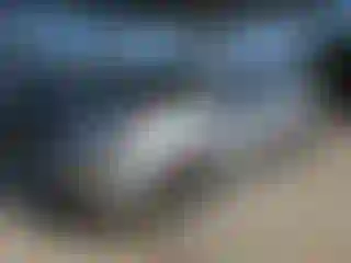 Vehicle Image- 2013 Honda Odyssey