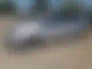 Vehicle Image- 2011 Honda Odyssey