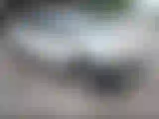 Vehicle Image- 2014 Honda Odyssey