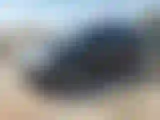 Vehicle Image- 2012 Honda Odyssey