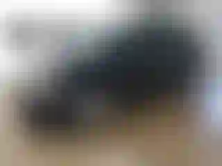 Vehicle Image- 2011 Honda Odyssey