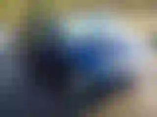 Vehicle Image- 2016 Honda Odyssey