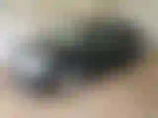 Vehicle Image- 2016 Honda Odyssey