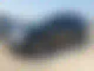 Vehicle Image- 2014 Honda Odyssey