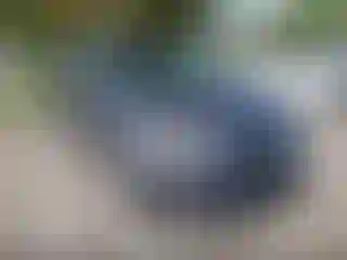 Vehicle Image- 2016 Honda Odyssey