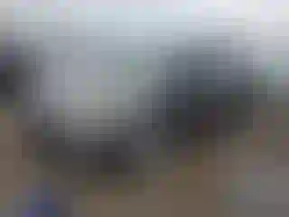 Vehicle Image- 2011 Honda Odyssey