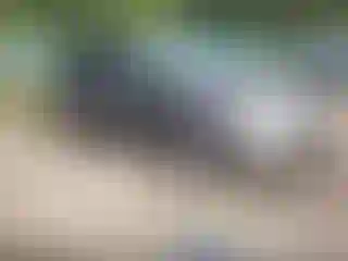 Vehicle Image- 2013 Honda Odyssey