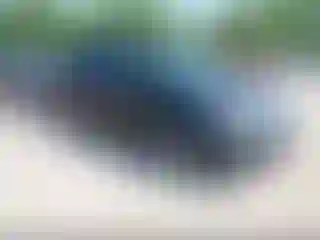 Vehicle Image- 2011 Honda Odyssey