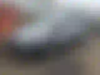 Vehicle Image- 2021 Honda Odyssey