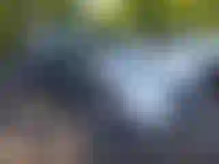 Vehicle Image- 2021 Honda Odyssey