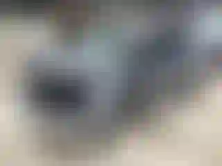 Vehicle Image- 2024 Honda Odyssey