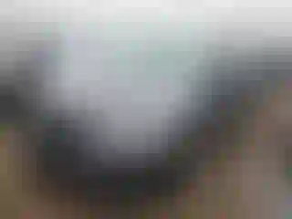 Vehicle Image- 2025 Honda Odyssey