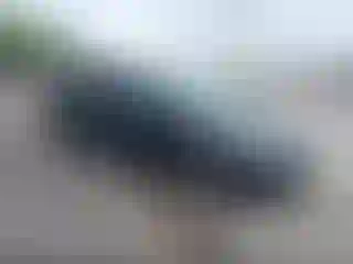 Vehicle Image- 2024 Honda Odyssey