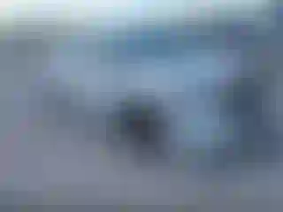 Vehicle Image- 2024 Honda Odyssey