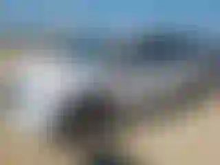 Vehicle Image- 2024 Honda Odyssey