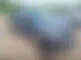 Vehicle Image- 2025 Honda Odyssey