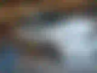 Vehicle Image- 2020 Honda Odyssey