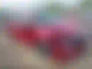 Vehicle Image- 2022 Honda Odyssey