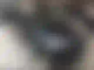 Vehicle Image- 2021 Honda Odyssey